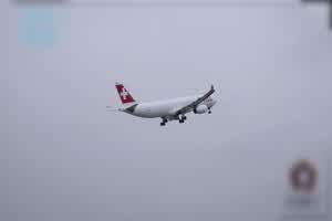 91制片厂 李依依 外出旅游意外操了一个美女  背景图片