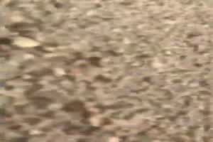 邻居读高中的小妹  背景图片