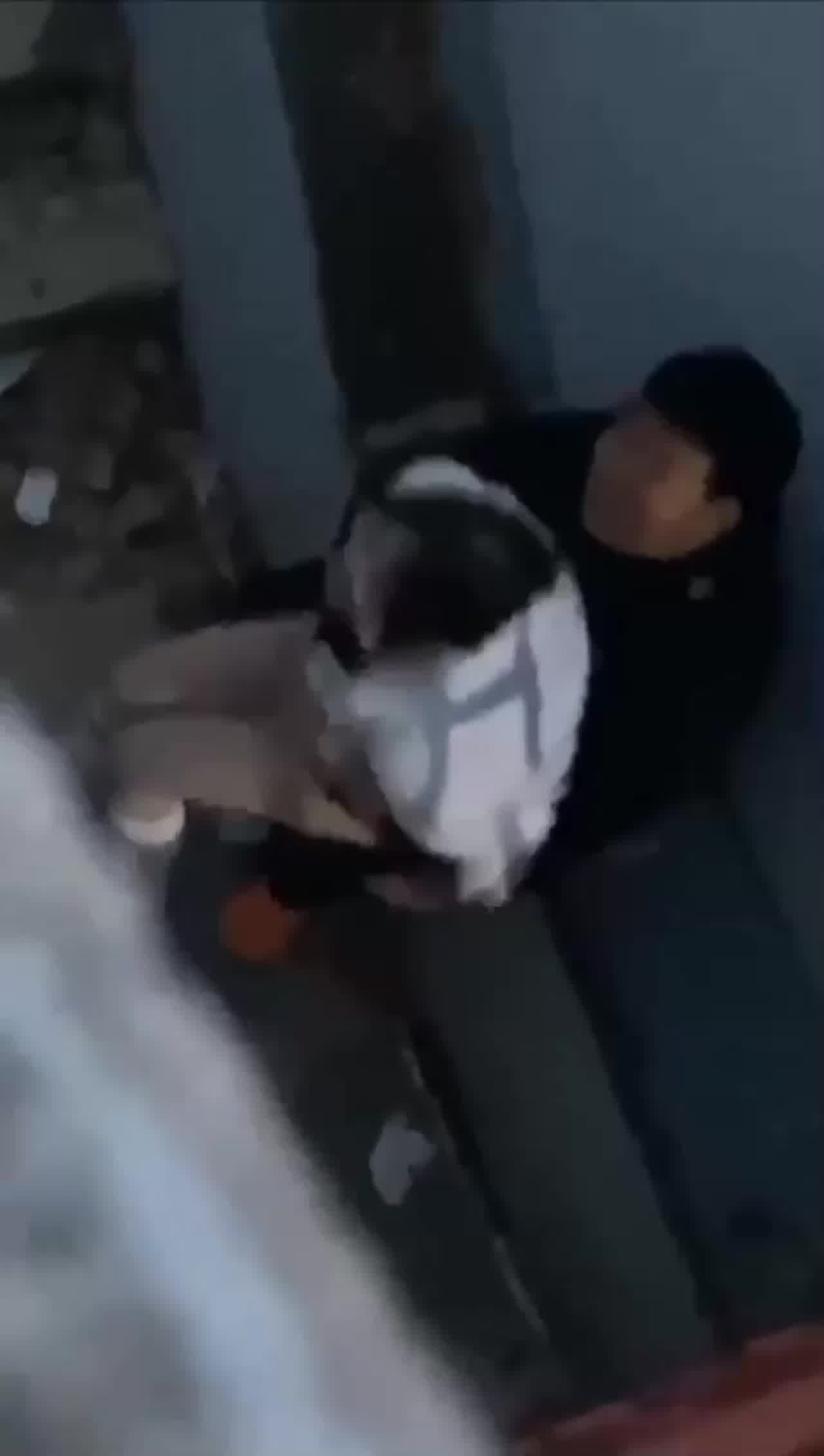  学生妹推着推着就进去了真刺激 的剧照4